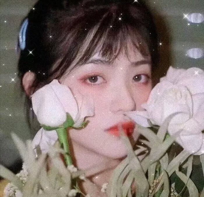 365天：今时之欲